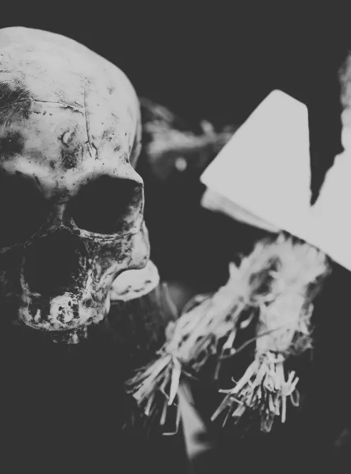 A weathered skull photographed close up in low light beside a bundle of dried straw and a pale paper triangle