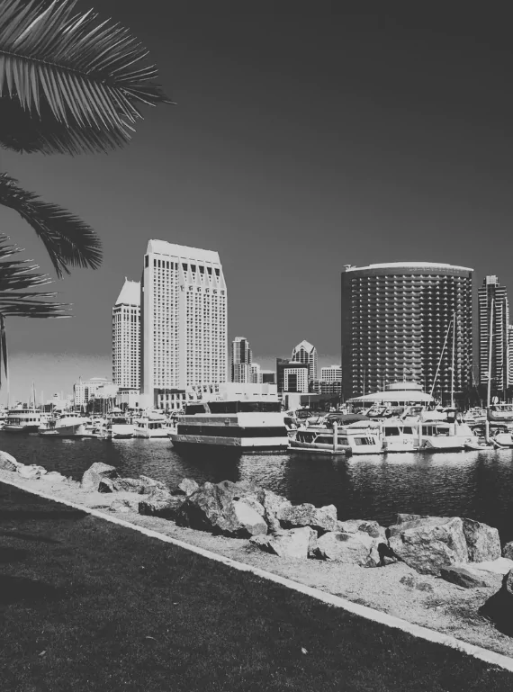 Downtown towers and a curved high-rise stand behind a marina of moored yachts in San Diego, riprap boulders and a palm frond framing the foreground, in black and white