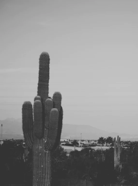 Things to do in Phoenix, Az