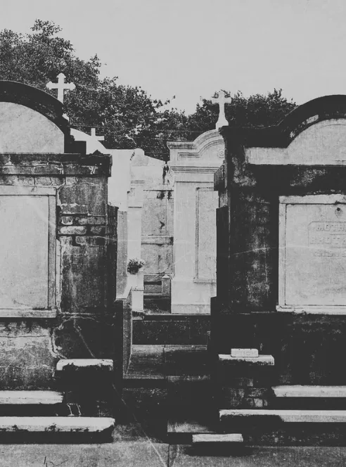Rows of above-ground stone tombs with crosses on their roofs stand shoulder to shoulder behind low steps in a New Orleans cemetery, trees rising past the rooflines