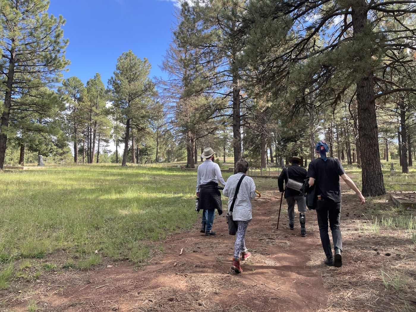 A tour group walking a path beneath the pines at Citizens Cemetery