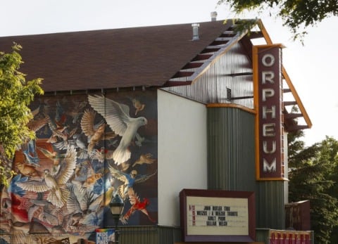 Orpheum theatre marquee sign beside a large bird mural on the building side